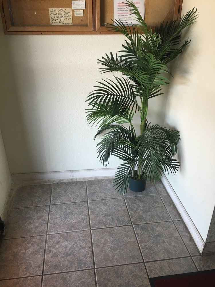 מריאנה Best Value Inn Motel Sandusky מראה חיצוני תמונה